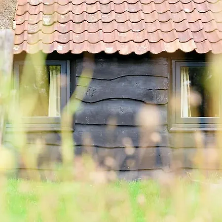Prachtig Vrijstaand Familiehuis Op Groot Perceel Scherpenzeel (Gelderland)