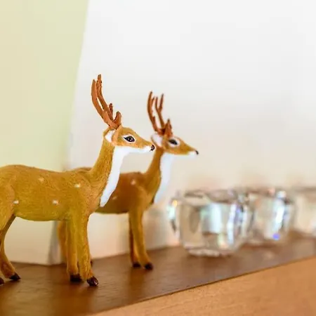 Prachtig Vrijstaand Familiehuis Op Groot Perceel Prázdninový dům