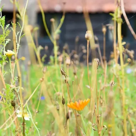 Prachtig Vrijstaand Familiehuis Op Groot Perceel Prázdninový dům