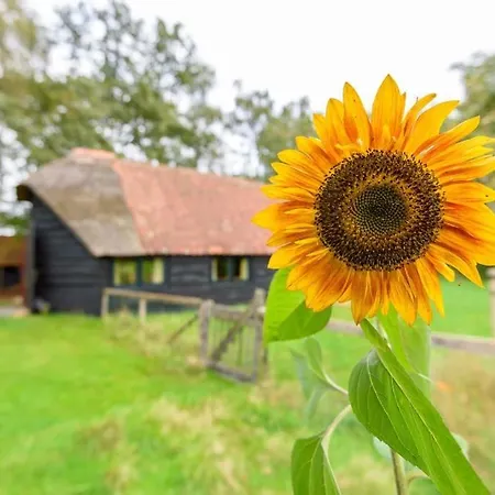 Prachtig Vrijstaand Familiehuis Op Groot Perceel Scherpenzeel (Gelderland)