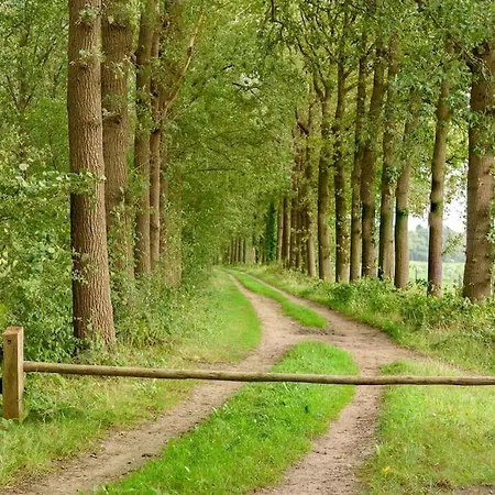 Prachtig Vrijstaand Familiehuis Op Groot Perceel سخربيزيل