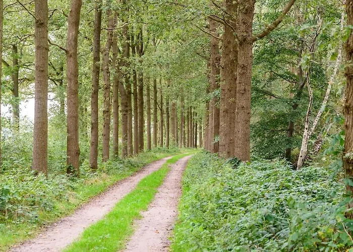 Prachtig Vrijstaand Familiehuis Op Groot Perceel Semesterbostad Scherpenzeel (Gelderland)