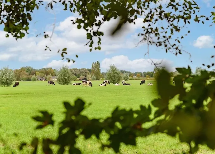 Prachtig Vrijstaand Familiehuis Op Groot Perceel * Scherpenzeel (Gelderland)