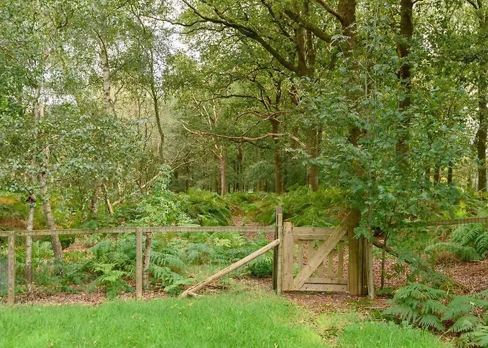 Semesterbostad Prachtig Vrijstaand Familiehuis Op Groot Perceel Scherpenzeel (Gelderland)