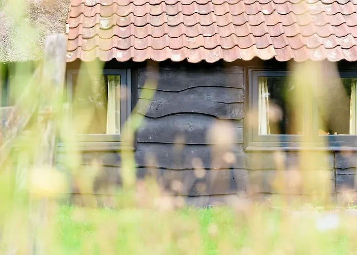 Prachtig Vrijstaand Familiehuis Op Groot Perceel Scherpenzeel (Gelderland)
