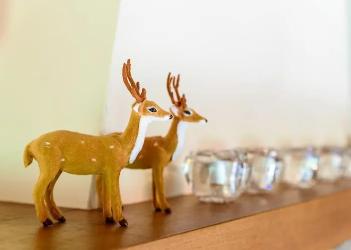 Prachtig Vrijstaand Familiehuis Op Groot Perceel Semesterbostad