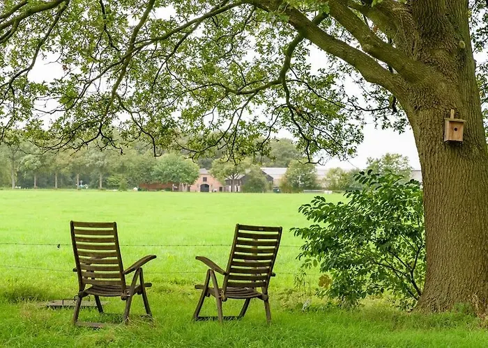 Semesterbostad Prachtig Vrijstaand Familiehuis Op Groot Perceel
