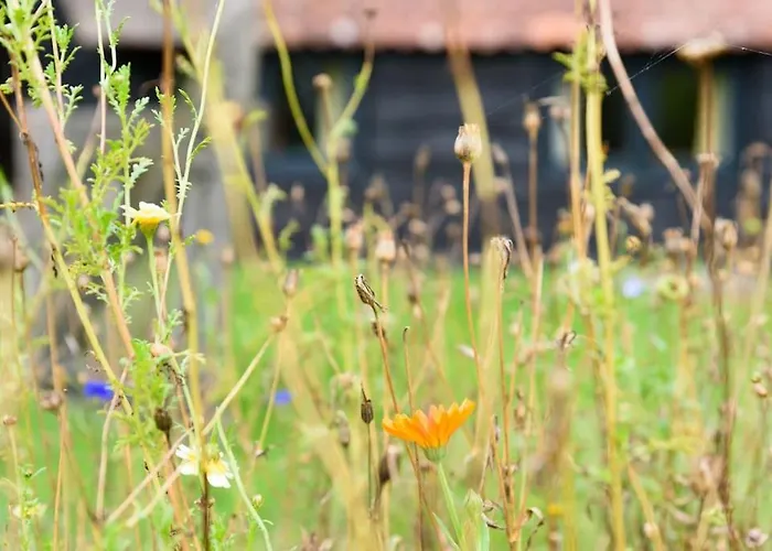 Prachtig Vrijstaand Familiehuis Op Groot Perceel Semesterbostad