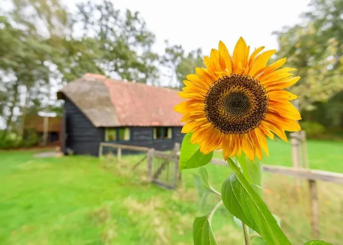 Prachtig Vrijstaand Familiehuis Op Groot Perceel Scherpenzeel (Gelderland)