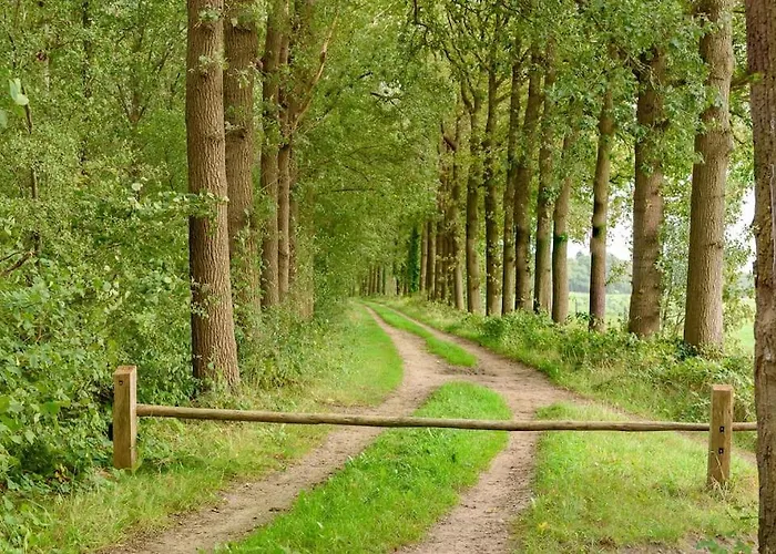 Prachtig Vrijstaand Familiehuis Op Groot Perceel Scherpenzeel (Gelderland)