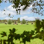 Prachtig Vrijstaand Familiehuis Op Groot Perceel * Scherpenzeel (Gelderland)