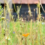 Prachtig Vrijstaand Familiehuis Op Groot Perceel Holiday home
