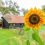 Prachtig Vrijstaand Familiehuis Op Groot Perceel Scherpenzeel (Gelderland)