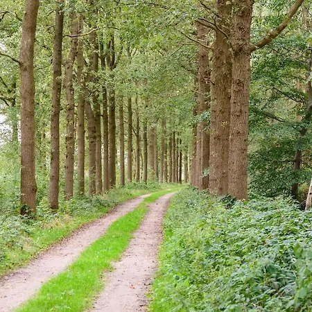 Prachtig Vrijstaand Familiehuis Op Groot Perceel Casa de Férias Scherpenzeel (Gelderland)
