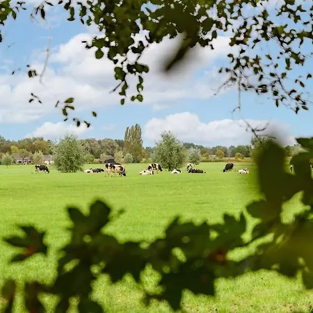 Prachtig Vrijstaand Familiehuis Op Groot Perceel * Scherpenzeel (Gelderland)