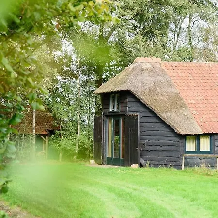 Prachtig Vrijstaand Familiehuis Op Groot Perceel Holiday home Scherpenzeel (Gelderland)